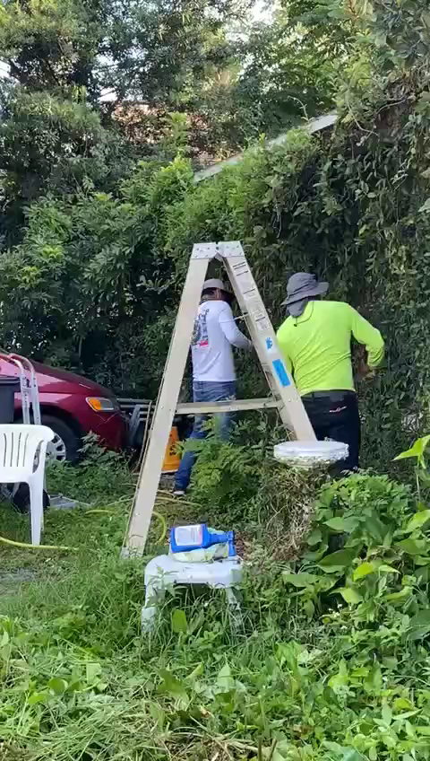 Recent project